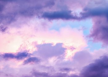 pexels photo 1287142