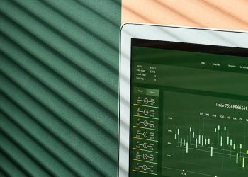 pexels photo 7108077