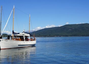 sailboat, lake, sail, boat, water sports, nature, web, investors