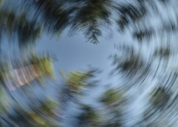 Trees and sky blurred with a radial effect.