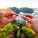 Hands hold sd card against scenic mountain and sea landscape.