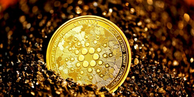 gold round coin on black surface