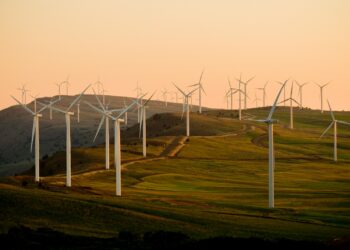 windmills on green field under white sky during daytime