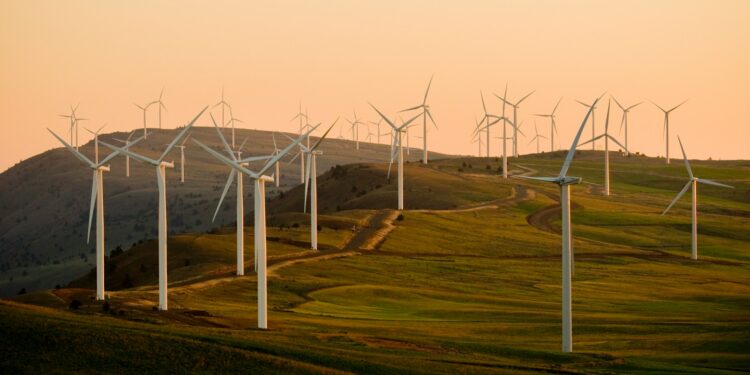 windmills on green field under white sky during daytime